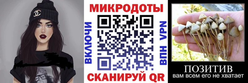 где найти   Апатиты  Псилоцибиновые грибы ЛСД 