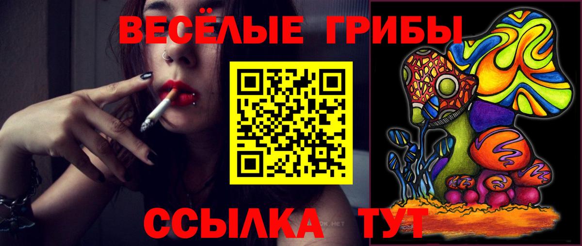 Псилоцибиновые грибы GOLDEN TEACHER Апатиты