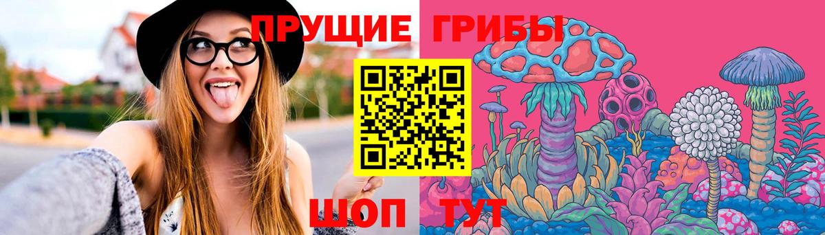 купить наркоту  Вход с VPN  Апатиты  Галлюциногенные грибы Psilocybe  Псилоцибиновые грибы Psilocybine cubensis 