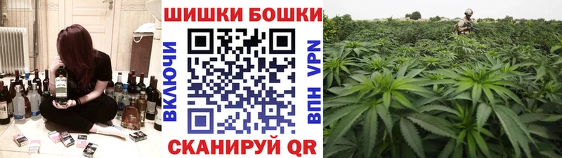Шишки марихуана планчик Апатиты